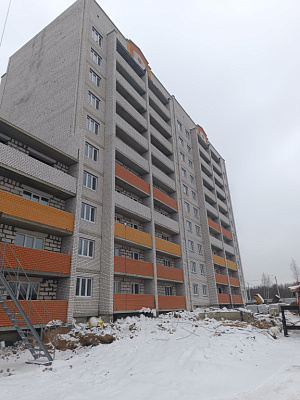 Деревня Новосельцы