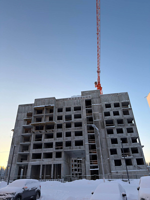 г. Петрозаводск