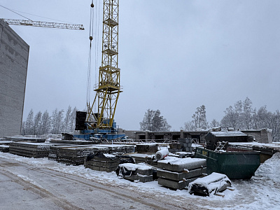 Деревня Новосельцы