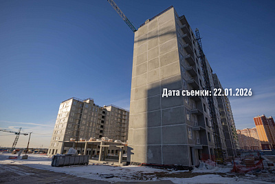 Концепт-проект 