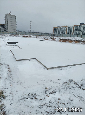 Деревня Борисовичи