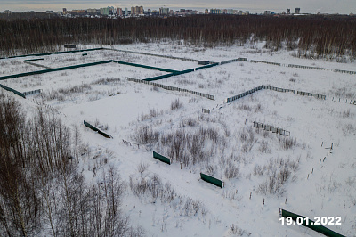 Волга парк