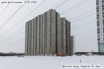 Цветной город