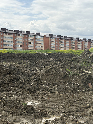 Поселок Новая Адыгея, Улица Бжедугская