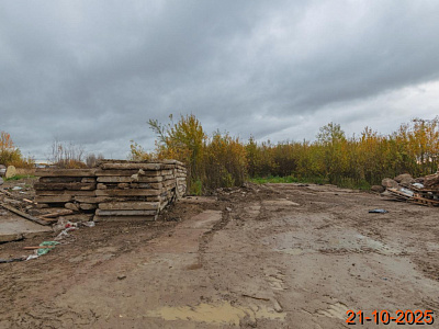 Таллинский парк