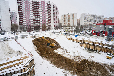 РОДИНА ПЕРЕДЕЛКИНО