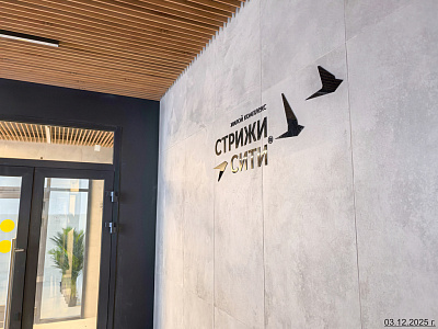 Стрижи Сити