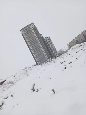 Расцветай на Зорге