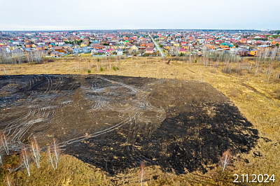 АЙРИС