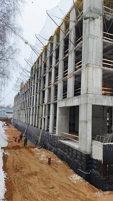 КУРКИНО15