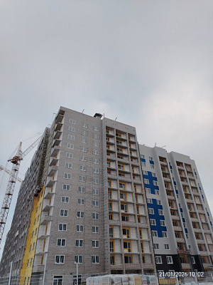 г. Череповец