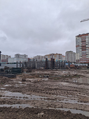 г. Брянск, Улица Романа Брянского