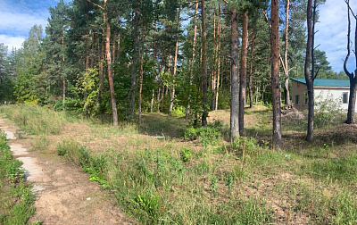 Е.квартал 