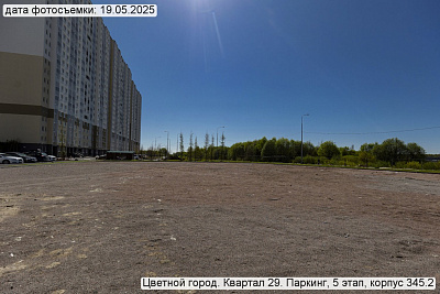 Цветной город