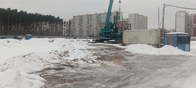 РОДИНА ПЕРЕДЕЛКИНО