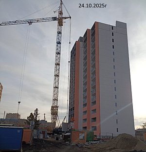 г. Омск, Улица Шебалдина