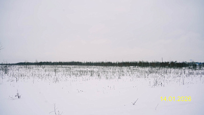 Квартал Лаголово