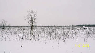 Квартал Лаголово