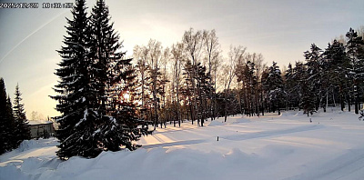 Ёлки город в лесу (Корпус 2)