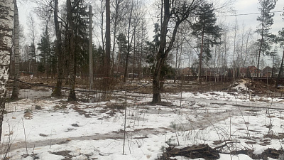 Кварталы Отрада