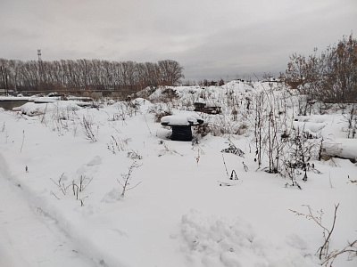 Расцветай на Зорге