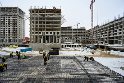 Левел Лесной