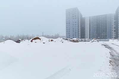 Парголово