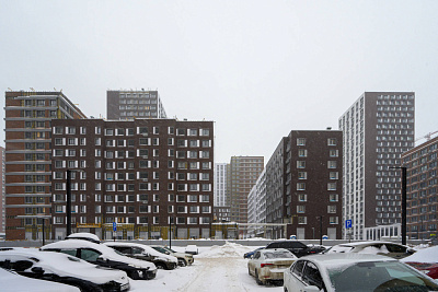 Сиреневый парк