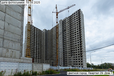Цветной город