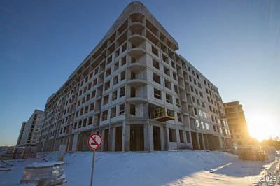 Экосити