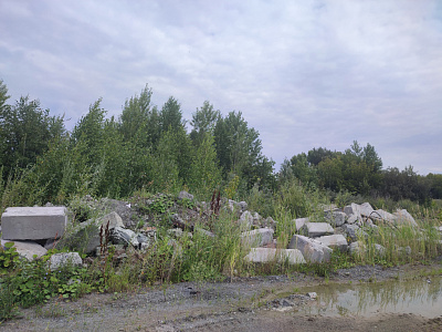 г. Новосибирск