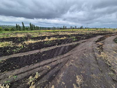 Село Репное