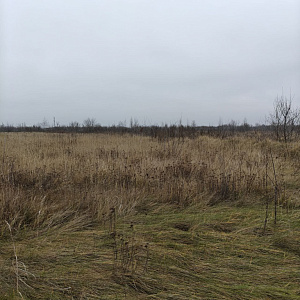 Жилой квартал 