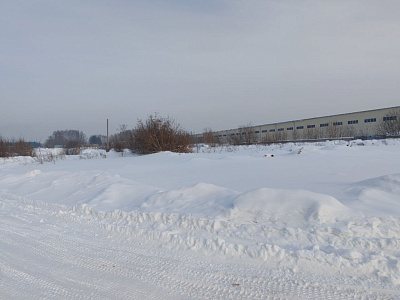 Цветной бульвар
