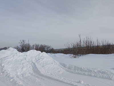 Цветной бульвар