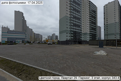 Цветной город