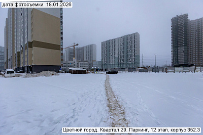 Цветной город