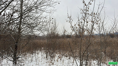 Жилой комплекс