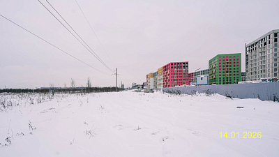 ЛО, Деревня Лаголово