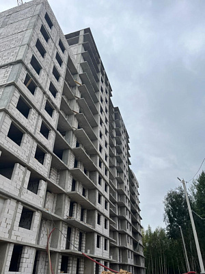 г. Ярославль, Улица Дядьковская