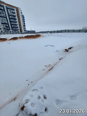 Деревня Борисовичи