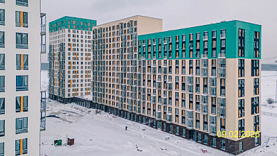 Невская Долина корпус 1.1