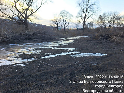 г. Белгород, ул Донецкая