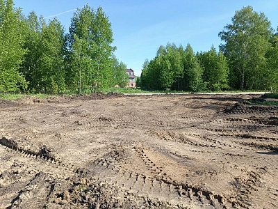 Село Толмачево