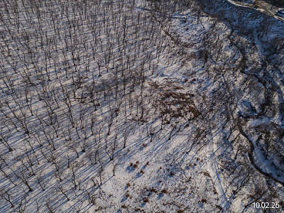 Квартал Нейбута