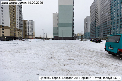 Цветной город