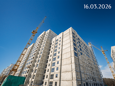 Инстеп.Бабяково