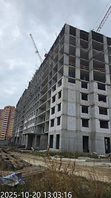 г. Тула