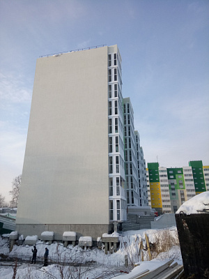 Березовая роща