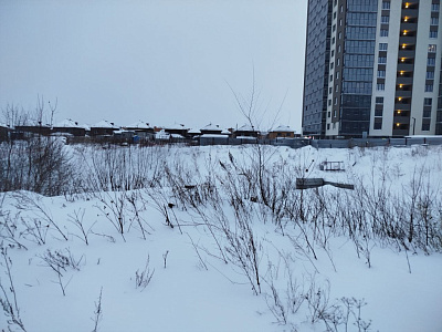 Расцветай на Зорге